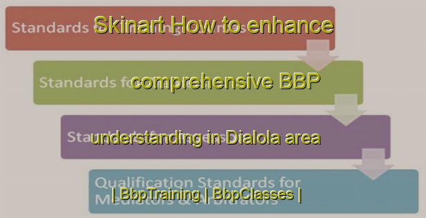 Skinart How to enhance comprehensive BBP understanding in Dialola area | BbpTraining | BbpClasses | SkinartTraining-Mali